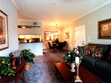 Image Gallery Showing our Gainesville FL Apartment Homes & Amenities Image Gallery Showing our Gainesville FL Apartment Homes & Amenities
